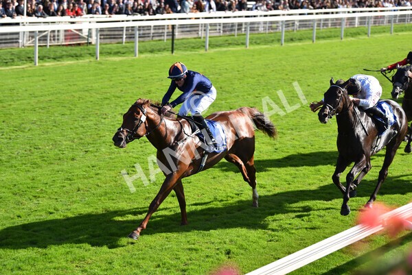 yr08102022r3-46 - Race 3 2.40pm The Coral 'Beaten-by-a-Length' Free Bet Handicap