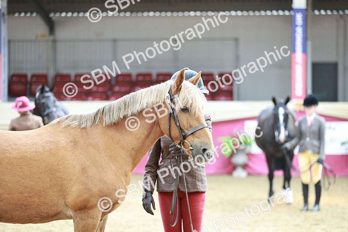 SBM_04774 - Class 7R - Regional IH Diamond