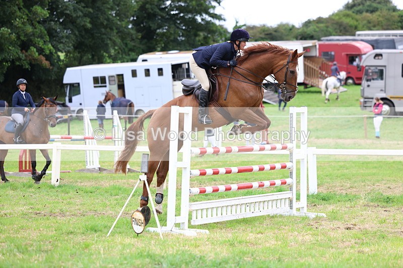 3E7A8372 - Class 8: Senior Foxhunter/1.20m open