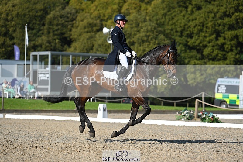 230526-172005-07573 - 262-TREAMBLE-Finn_Healy-WEDTrotUp+DR