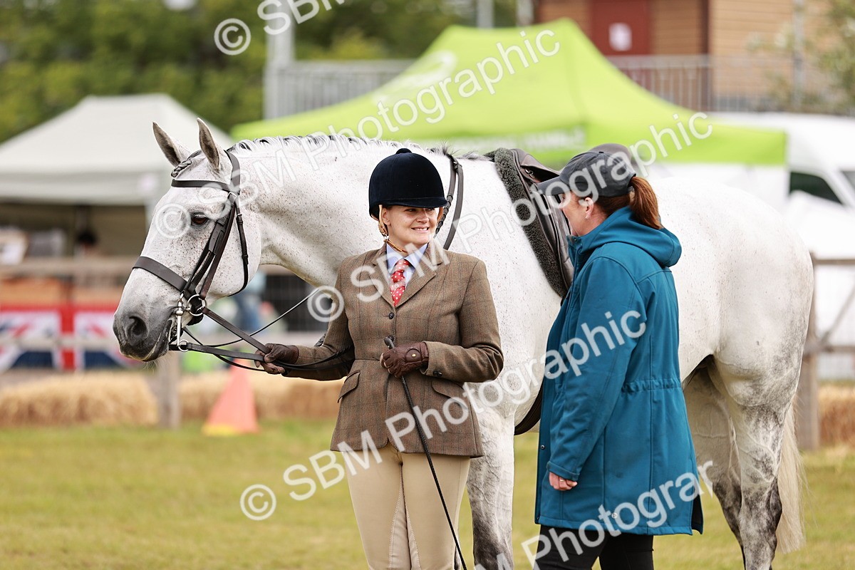 SBM_10888 - Class 81-84 - RIHS Ridden hunters Inc Ladies Hunter