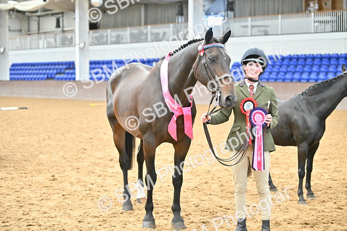 SBM_000740 - Class 14 - SSADL In Hand Championships