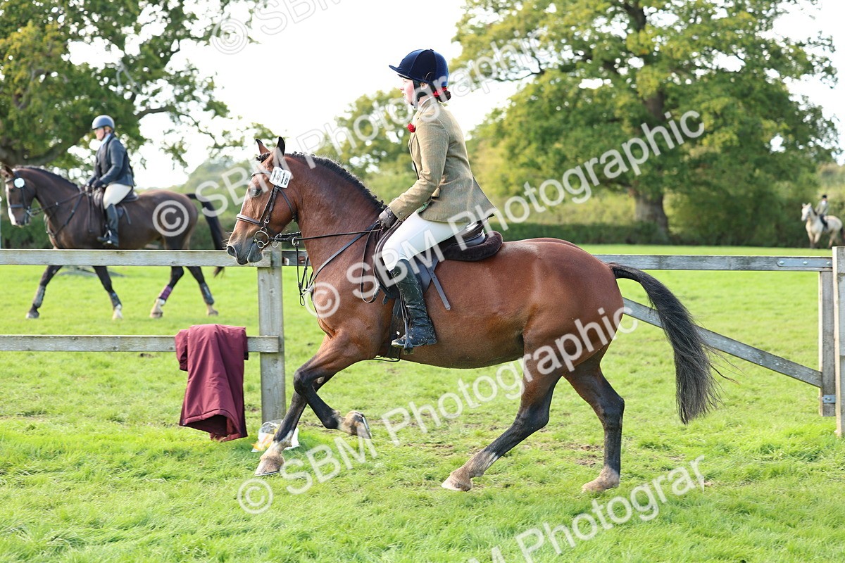 SBM_45508 - S33 - Working Hunter Pony