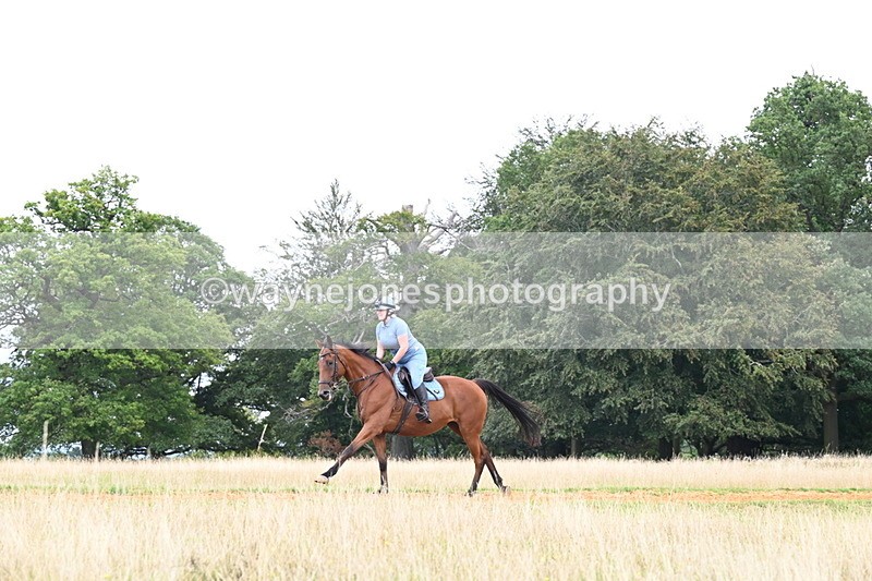 DSC_7631 - Time at Statue 13:16 to 13:52