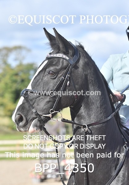 BPP_4350 - CLASS 6 HORSE 60CM FINAL