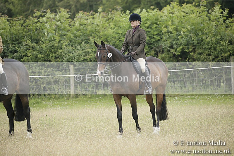 B230619-0336 - Bourne Valley Riding Club Summer Show 23/06/19