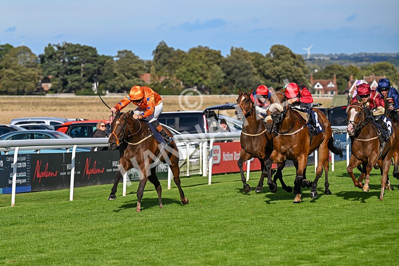 170925-Race 6-Elegant Erin-5782 - Race 6