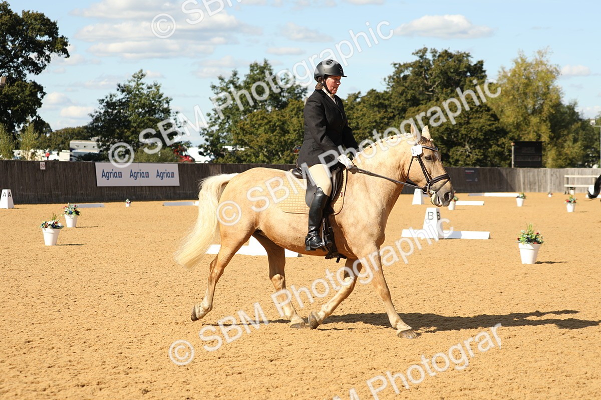 SBM_24596 - D17 - Grand Tour Championship - Novice 27