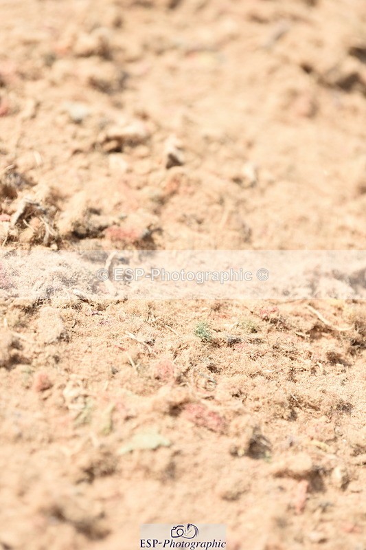 230915A-135856-00631 - Cls 11 Snr Discovery & 1m Open