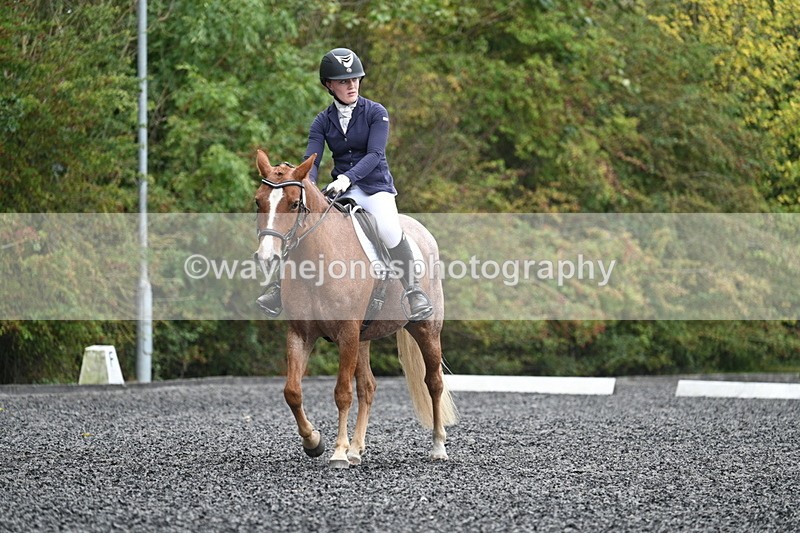 WJ7_3775 - Time 11:04 to 11:38