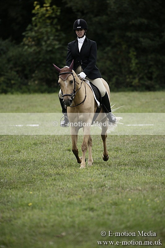 BVR080918 294 - BVRC Novice Dressage & CR 08/09/18