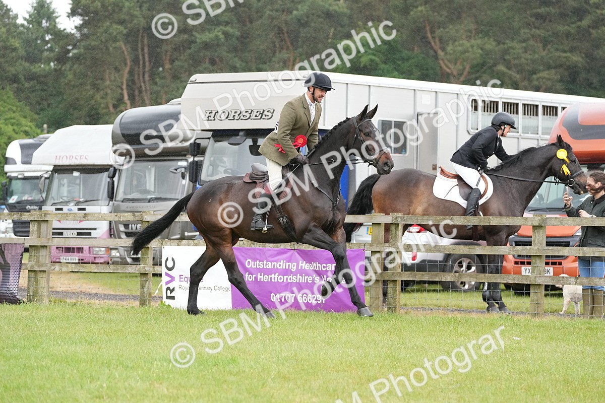 SBM_12821 - Class 97-98 - LIHS BSHA Rising Star Working Show Horse Hunter