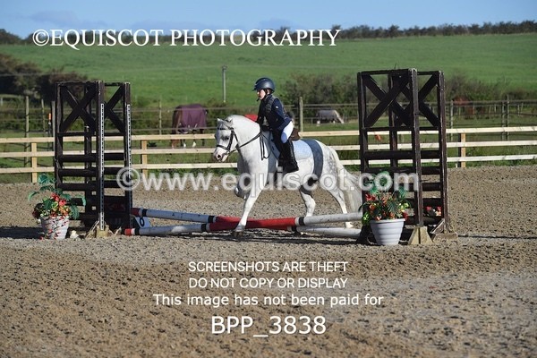 BPP_3838 - CLASS 0 Clear Round Show Jumping
