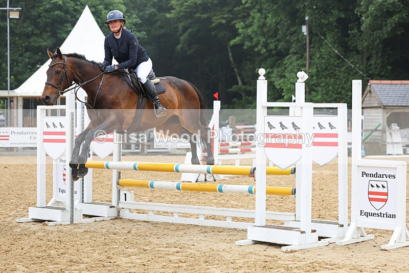 3E7A5584 - Class 4: Senior British Novice/90cm open