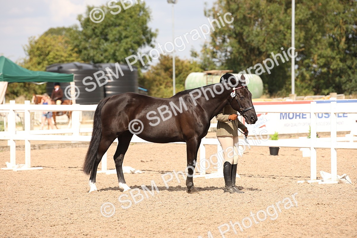 SBM_03739 - Class 19 Judge's Favourite