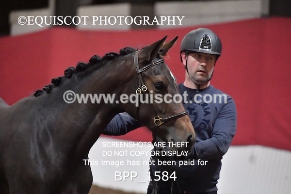 BPP_1584 - MORNING 9AM - 12PM