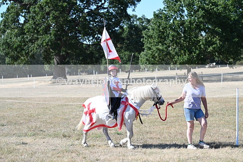 WJ7_2335 - Class 45 Fancy Dress (My Fav)