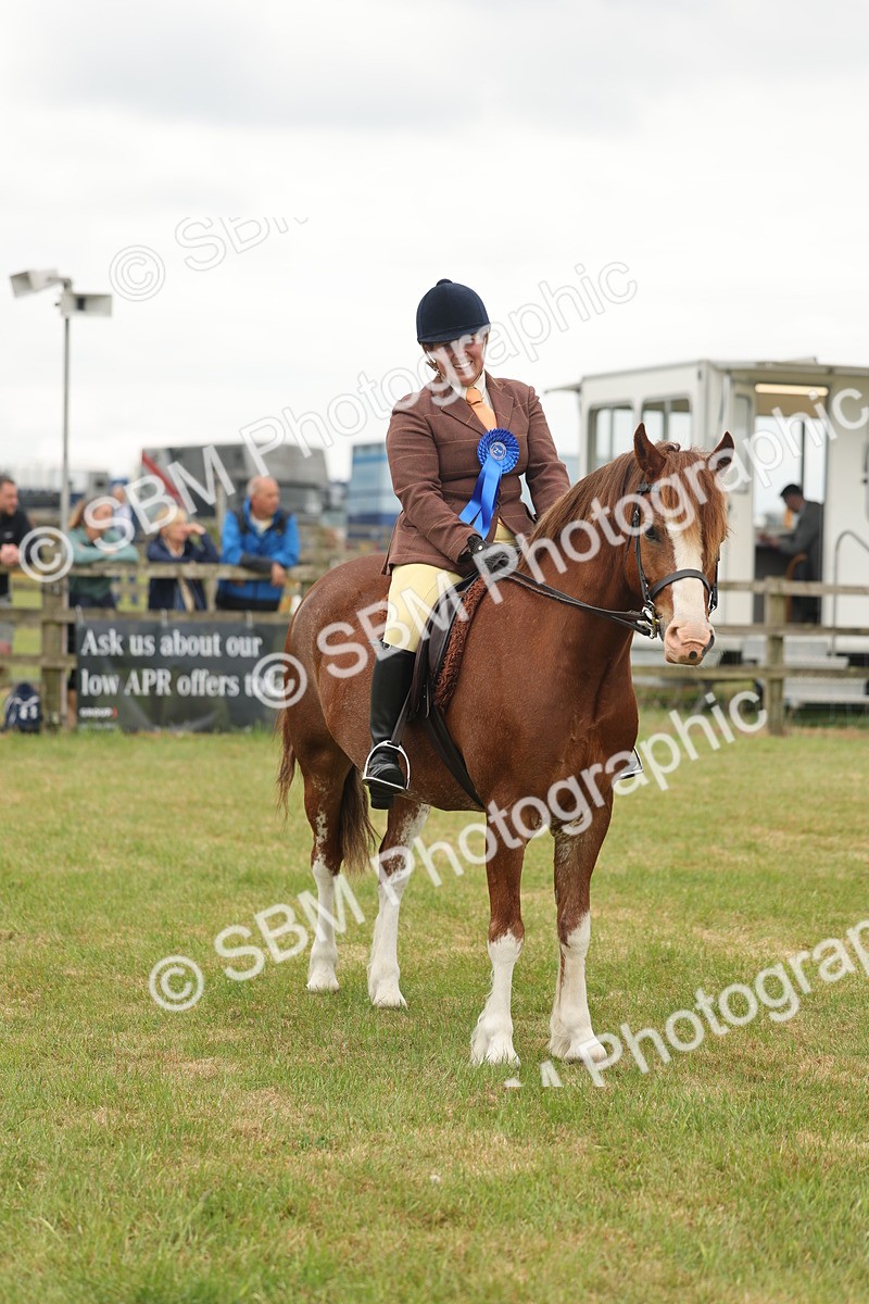 SBM_07267 - Class 76-77 - Ridden M&M Welsh Ponies