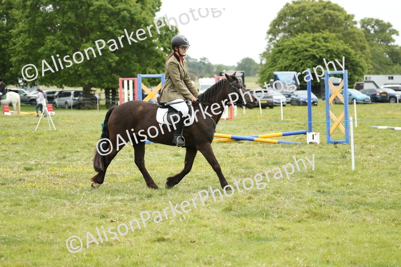20250517-1025 - Class 21 - Novice Working Hunter