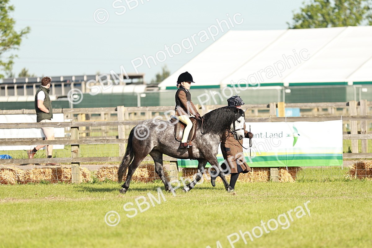 SBM_11059 - Class 106-107 - BSPS LIHS Working Sports Pony