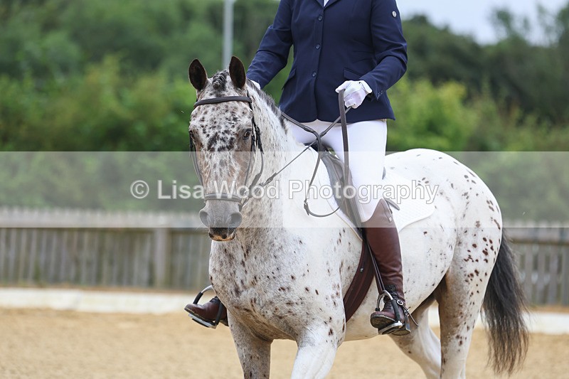 3E7A4522 - Class 1: Intro 4 2024 section A