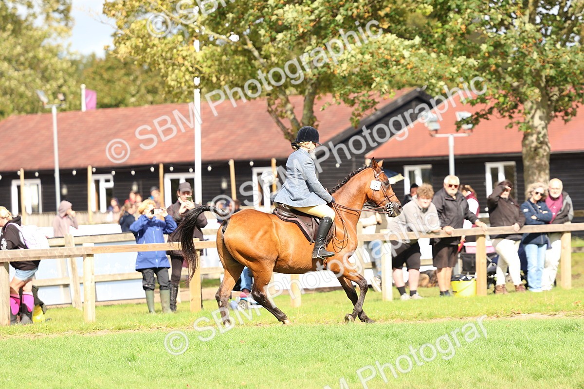 SBM_47709 - S28 - Veteran Ridden