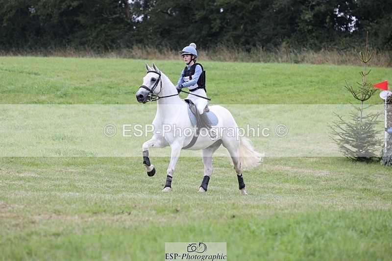 240831A-141921-03765 - 256-Tiarna.Falco-AUGHNAKEERAGH.DANNY