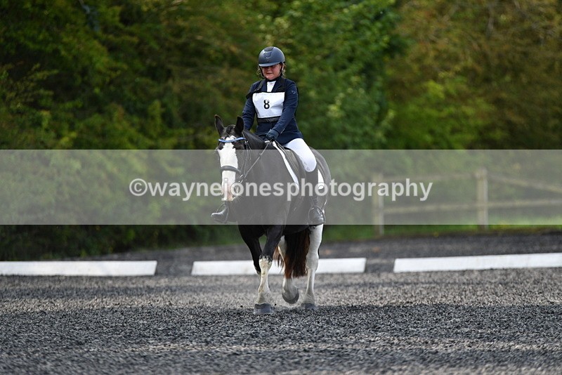 WJ5_9163 - Time 10:10 to 10:47