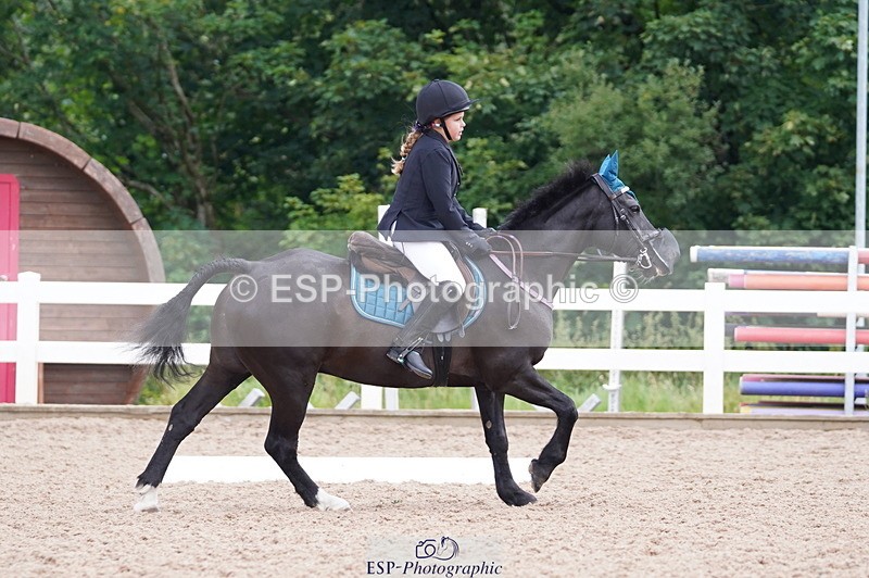 240809A-102010-00494 - Dressage Competition
