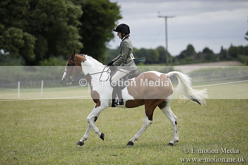 BVR160717-1894 - Ring 1 BVRC Show 16/07/17