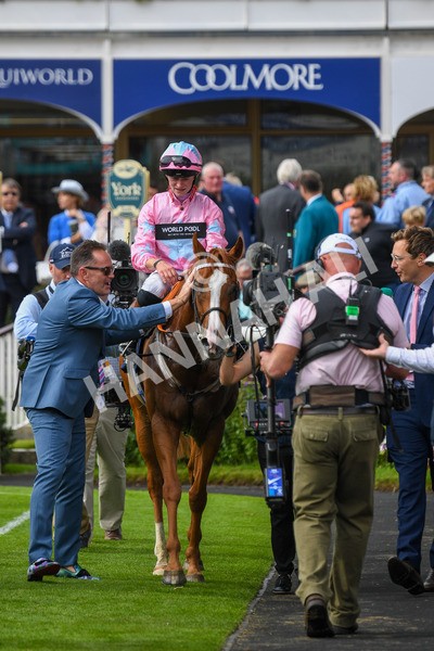 250823-Race 4-Live In The Dream-0740 - Race 4 3.35pm Coolmore Wootton Bassett Nunthorpe Stakes