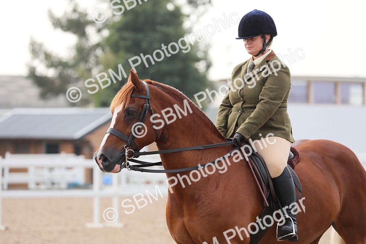 SBM_10062 - Class 302 Ridden M&M -Large Breeds