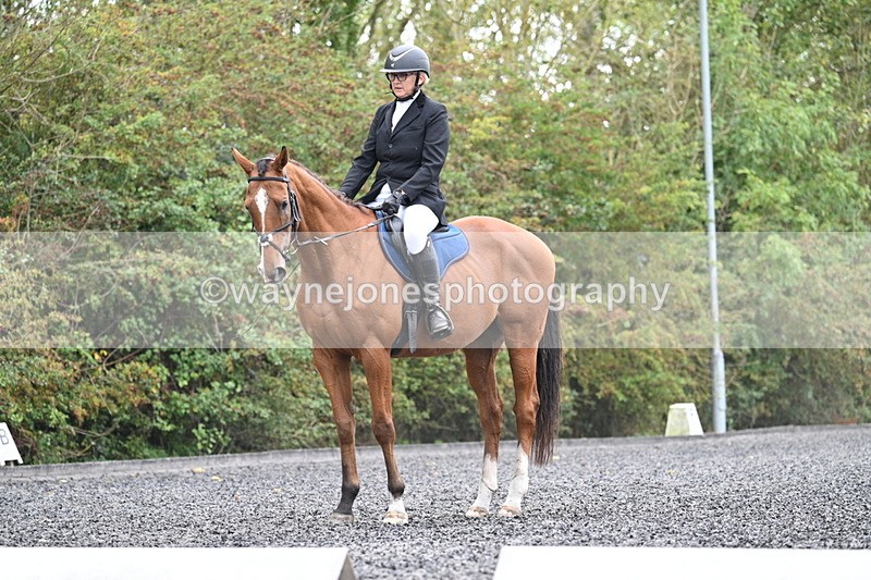 WJ7_3461 - Time 09:54 to 10:54