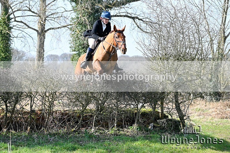 WJ7_5558 - Edited examples