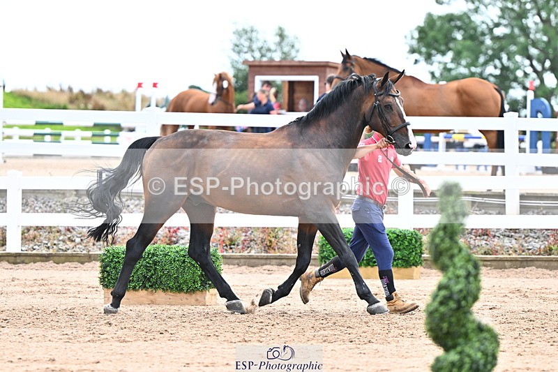 240718A-105326-02019 - Trot Up 2pm to 3pm - This folder is not in time order