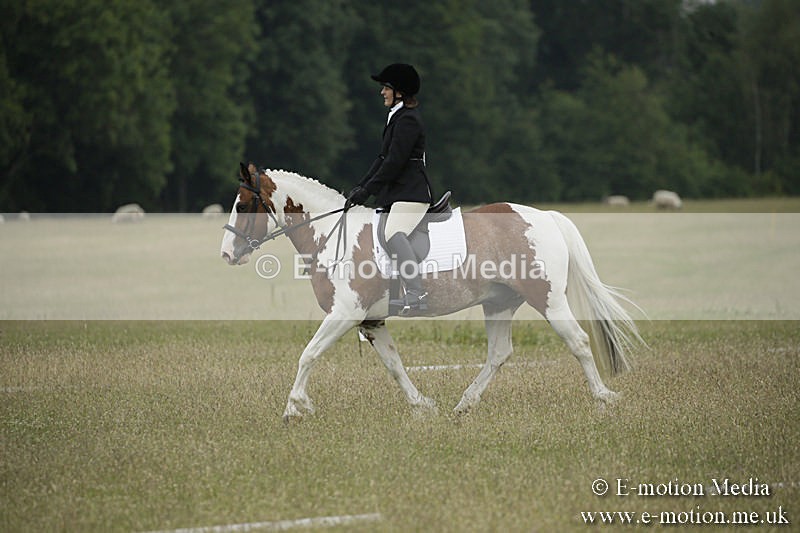 B230619-0219 - Bourne Valley Riding Club Summer Show 23/06/19