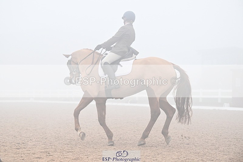 240217A-130524-02752 - 239-Sophie.Hawke-Dionysus