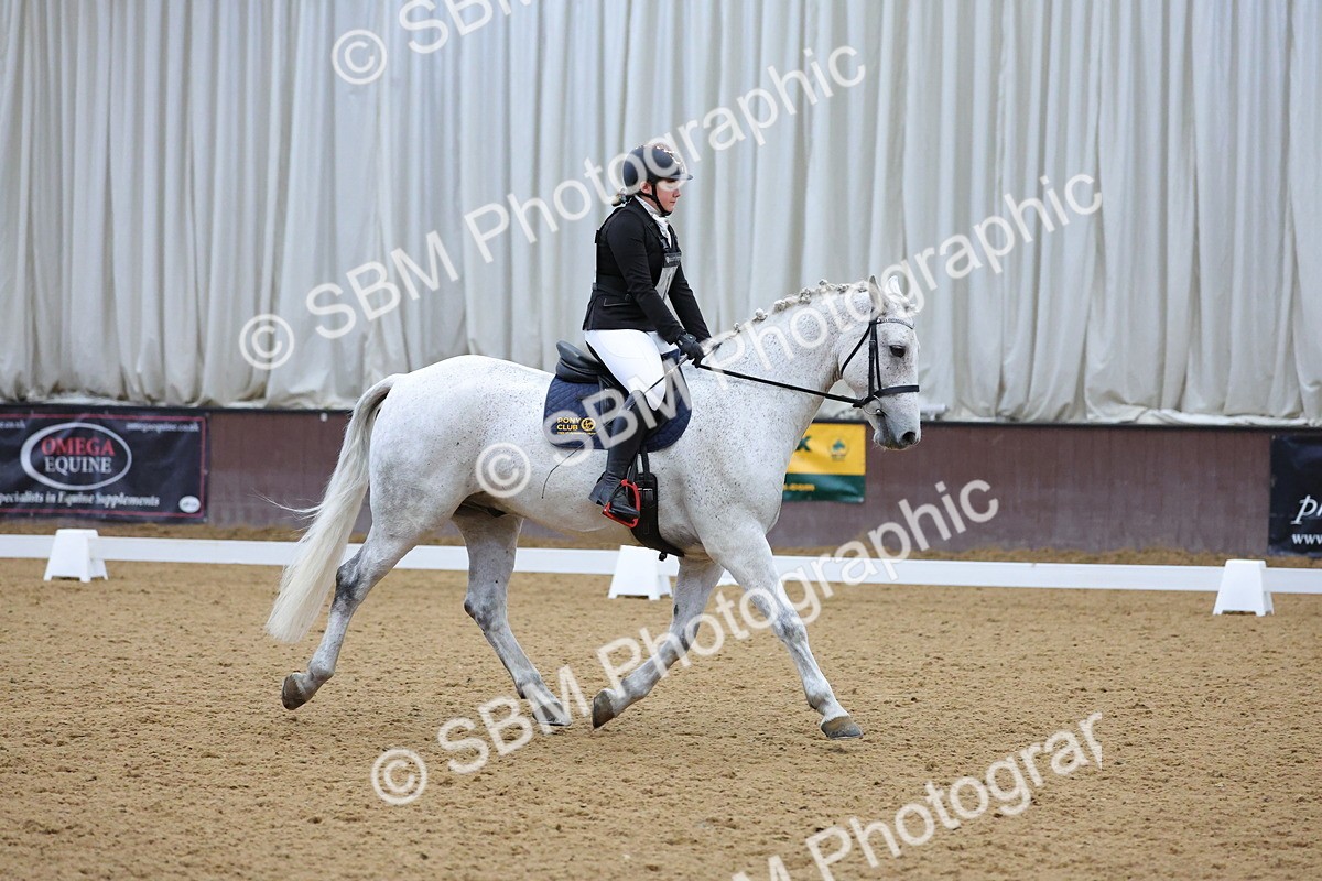 SBM_003770 - Novice
