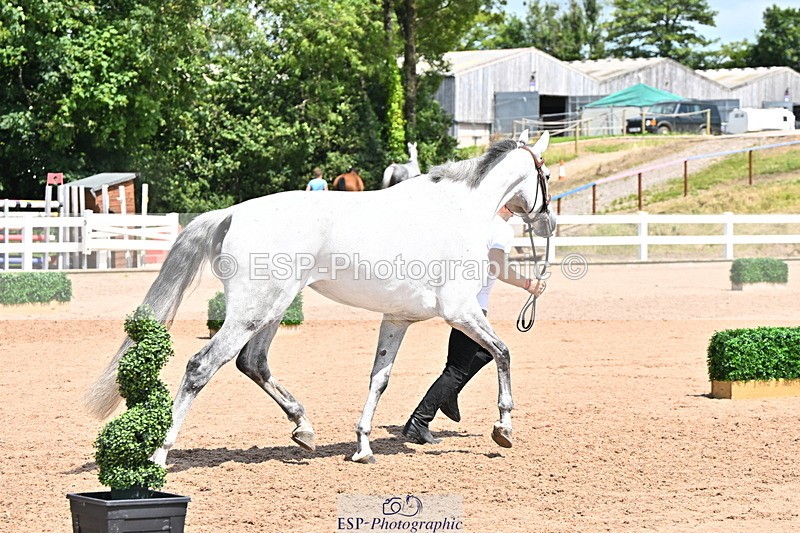 240718A-105310-01659 - Trot Up 1pm to 2pm