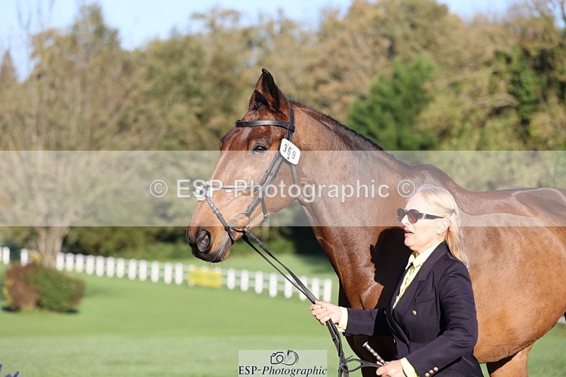 241027-085853-14940 - 369-Carolyn.Price-I.WISH.ANDY