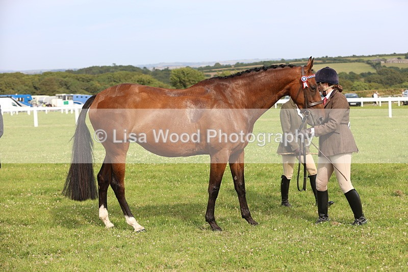 JPP_4312 - Class 25: Working Show Horse