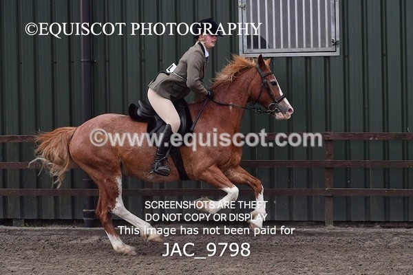 JAC_9798 - CLASS 2 Novice Working Hunter (0.60m - 0.70m)