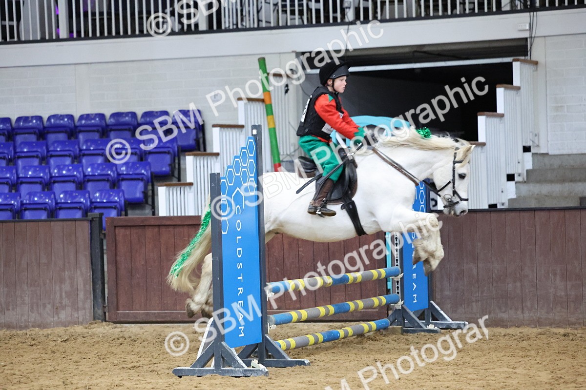 SBM_001220 - Class 3 - Christmas Tree Stakes - 60cm