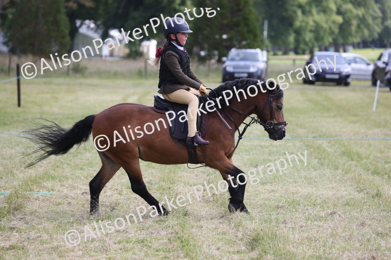 20260614-1839 - Class 21 - Novice Working Hunter Pony
