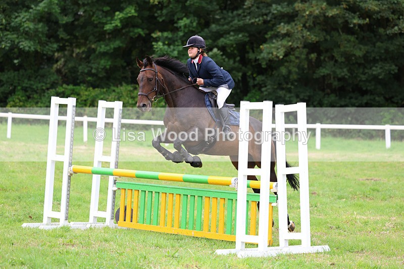 3E7A7174 - Class 5: Senior British Novice/90cm open
