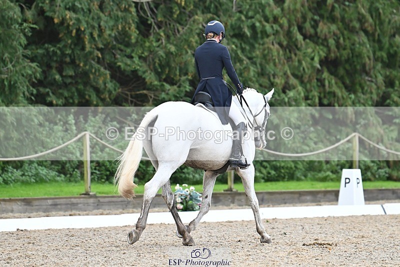 231019-122830-03111 - 114-LATINA'S.TWINKELING-Pippa.Haslam-DR