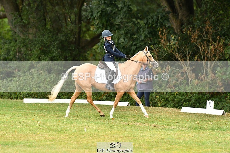 250820A-103703-04655 - Start to 11am