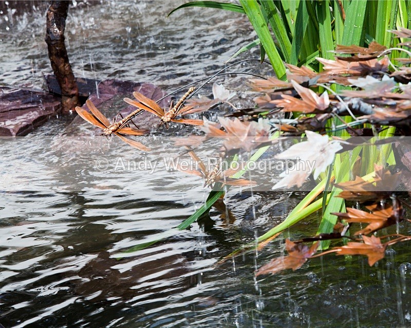 20100723_1783 - Miscellaneous Photographs