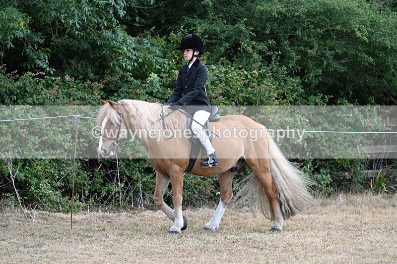 WJ7_7034 - Class 2 Best Rider