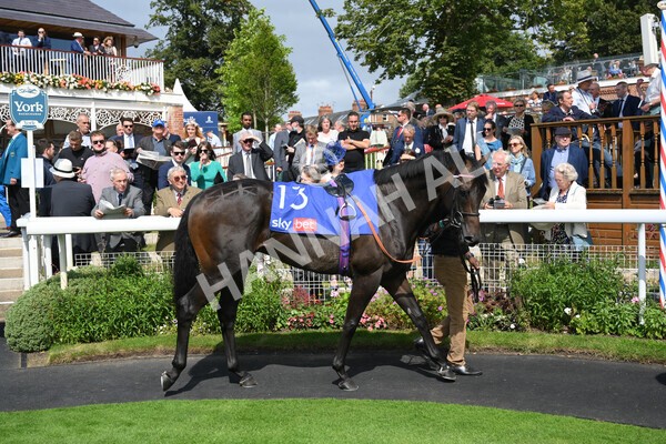 yr18082021r1-1 - Race 1 1.50pm Sky Bet & Symphony Group Stakes